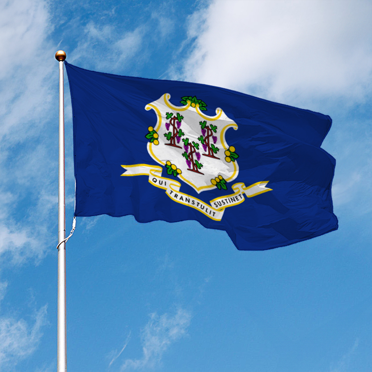 Connecticut State Flag